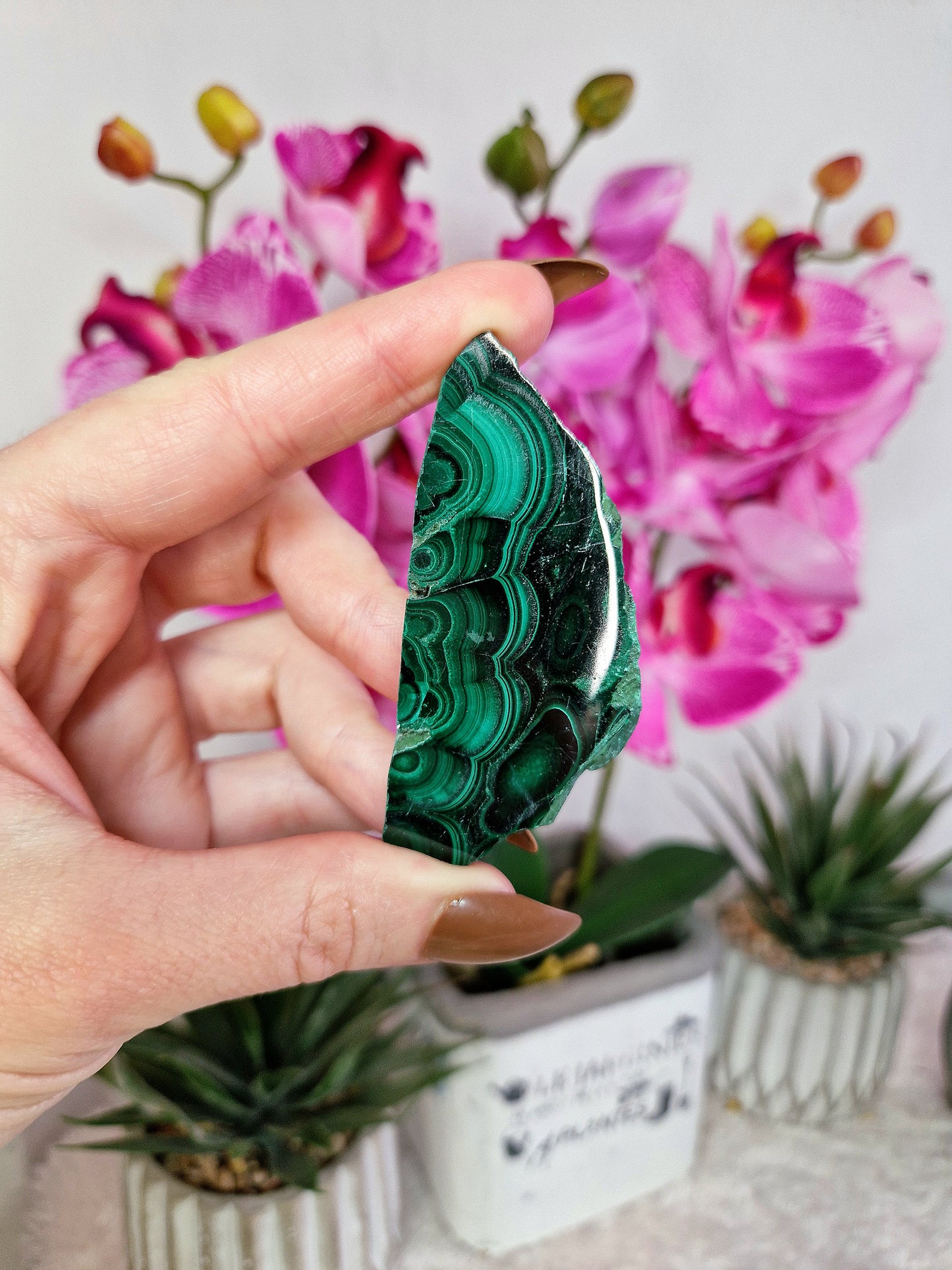 Fetta di MALACHITE - n 1