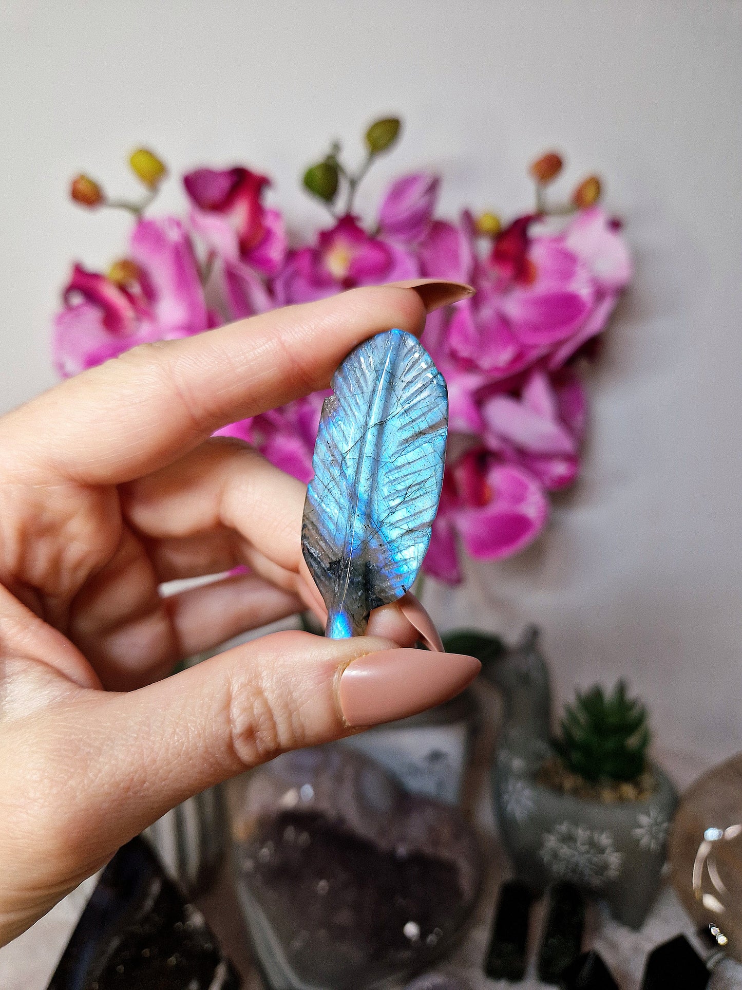 Piuma di LABRADORITE - n 1