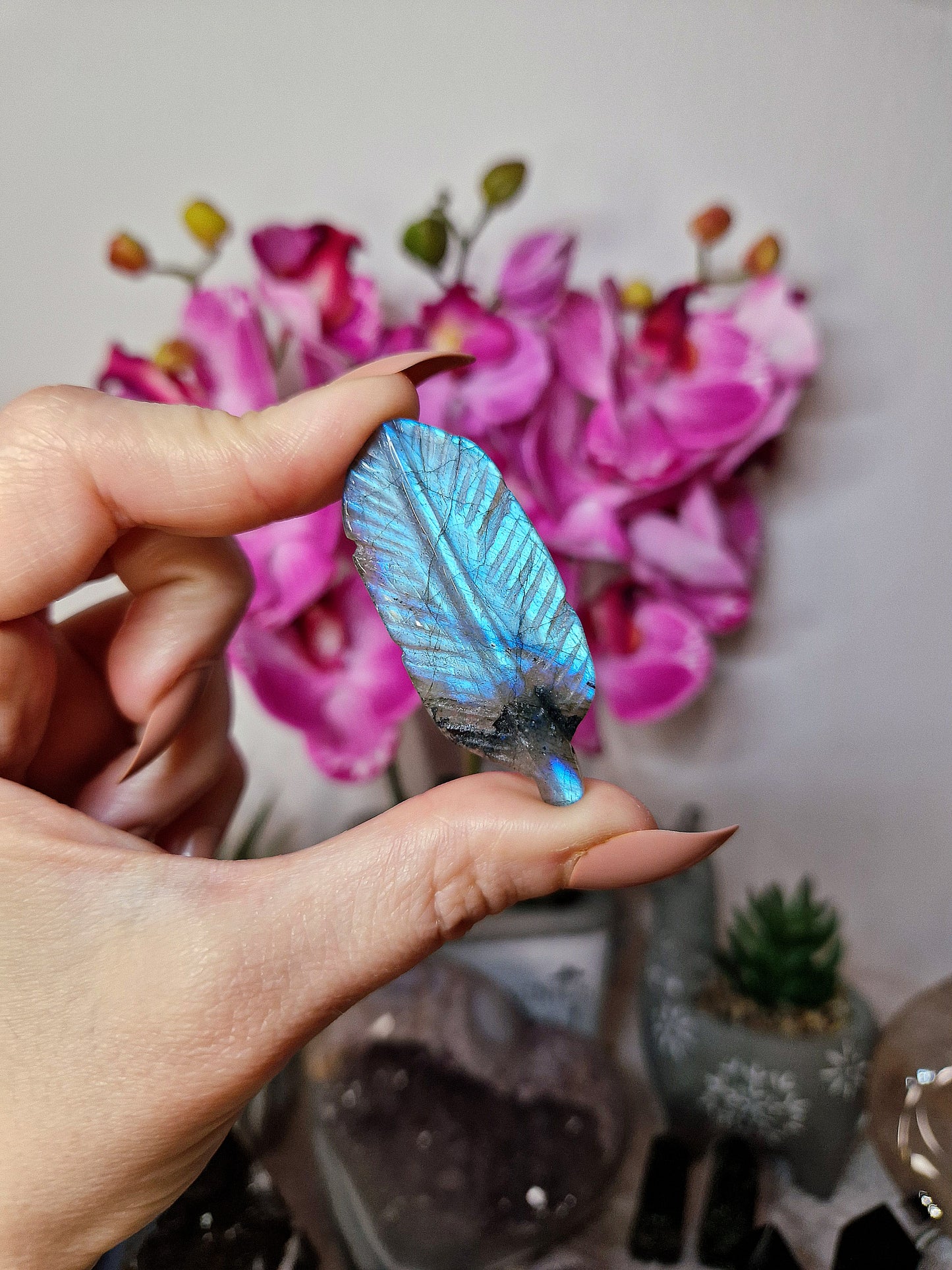 Piuma di LABRADORITE - n 1
