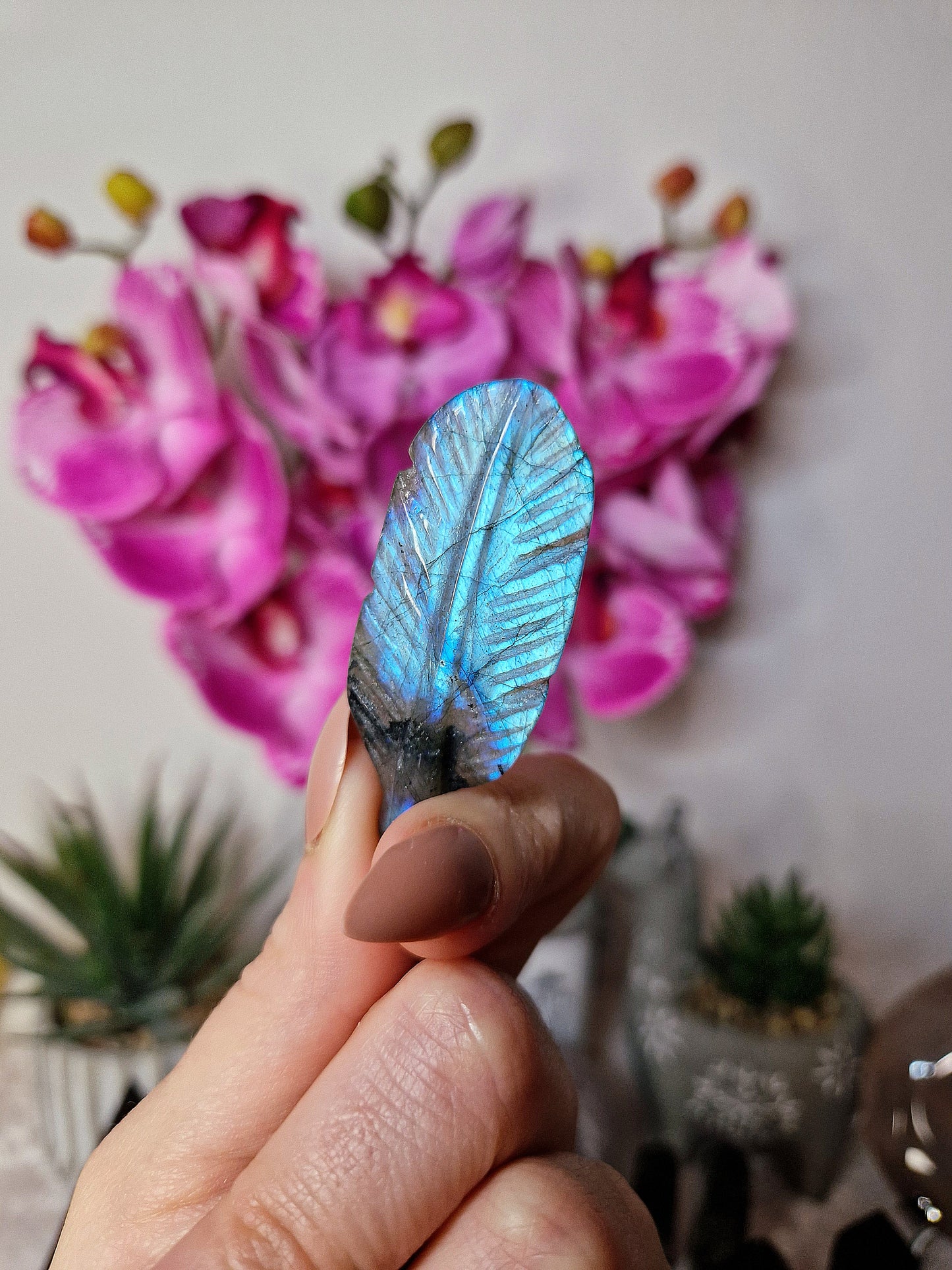 Piuma di LABRADORITE - n 1