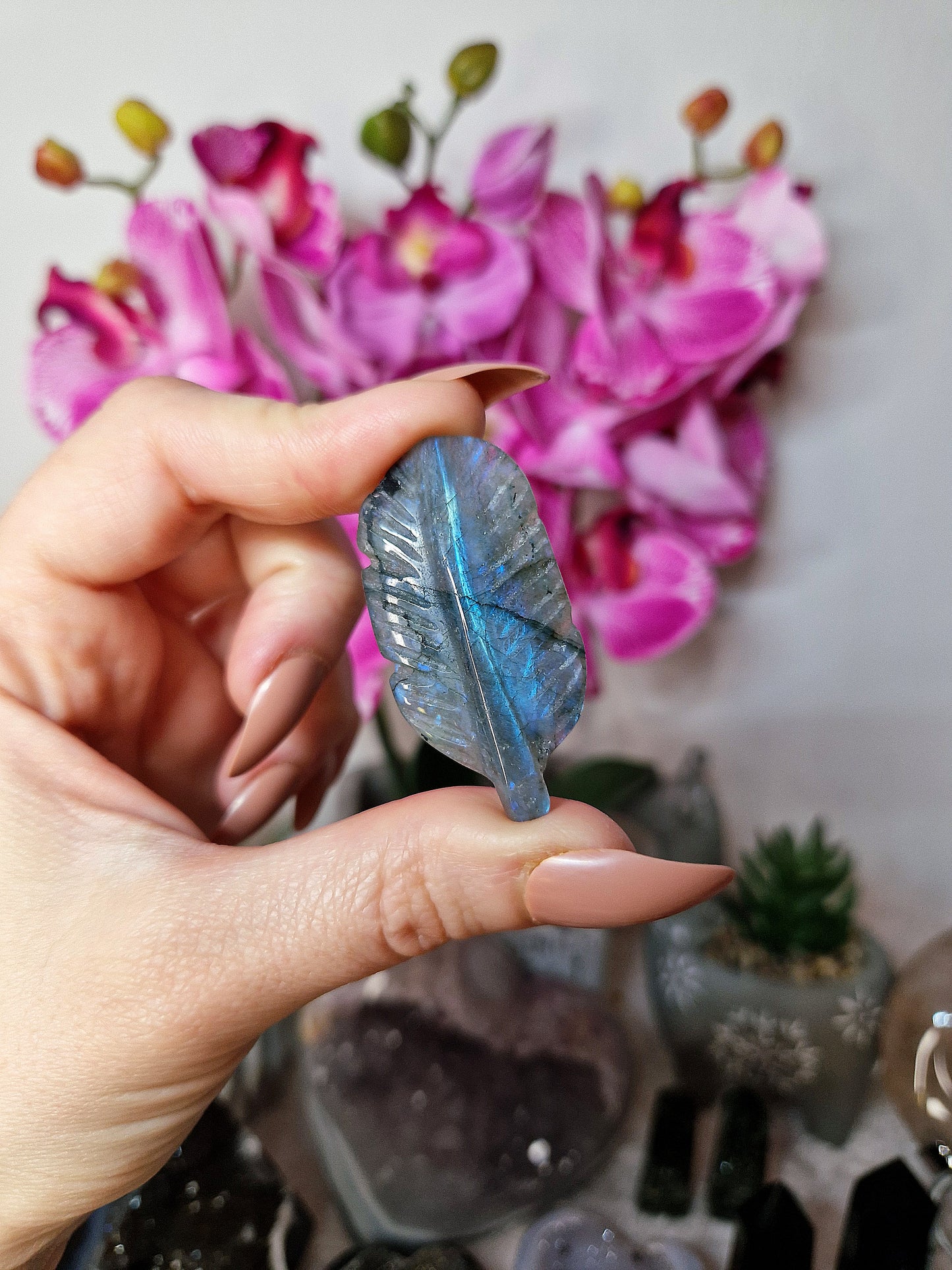 Piuma di LABRADORITE - n 2