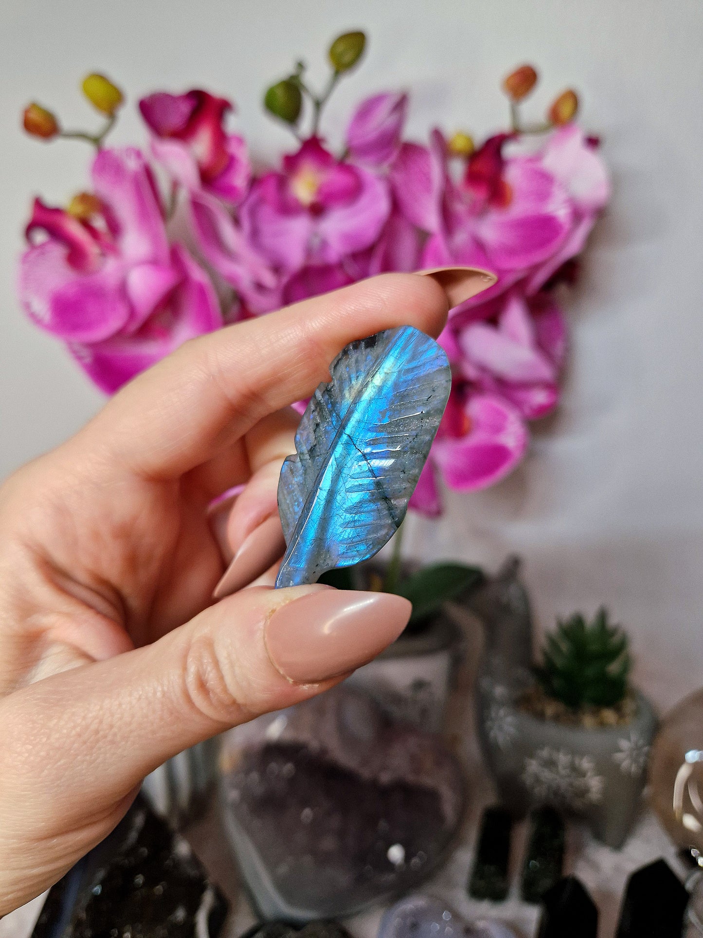 Piuma di LABRADORITE - n 2