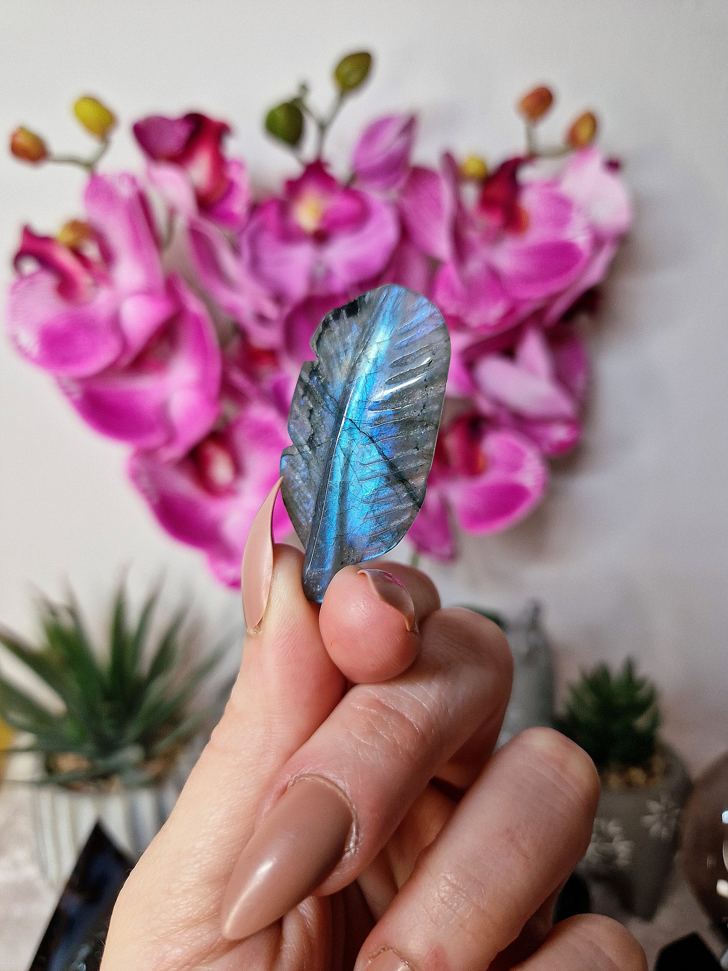 Piuma di LABRADORITE - n 2