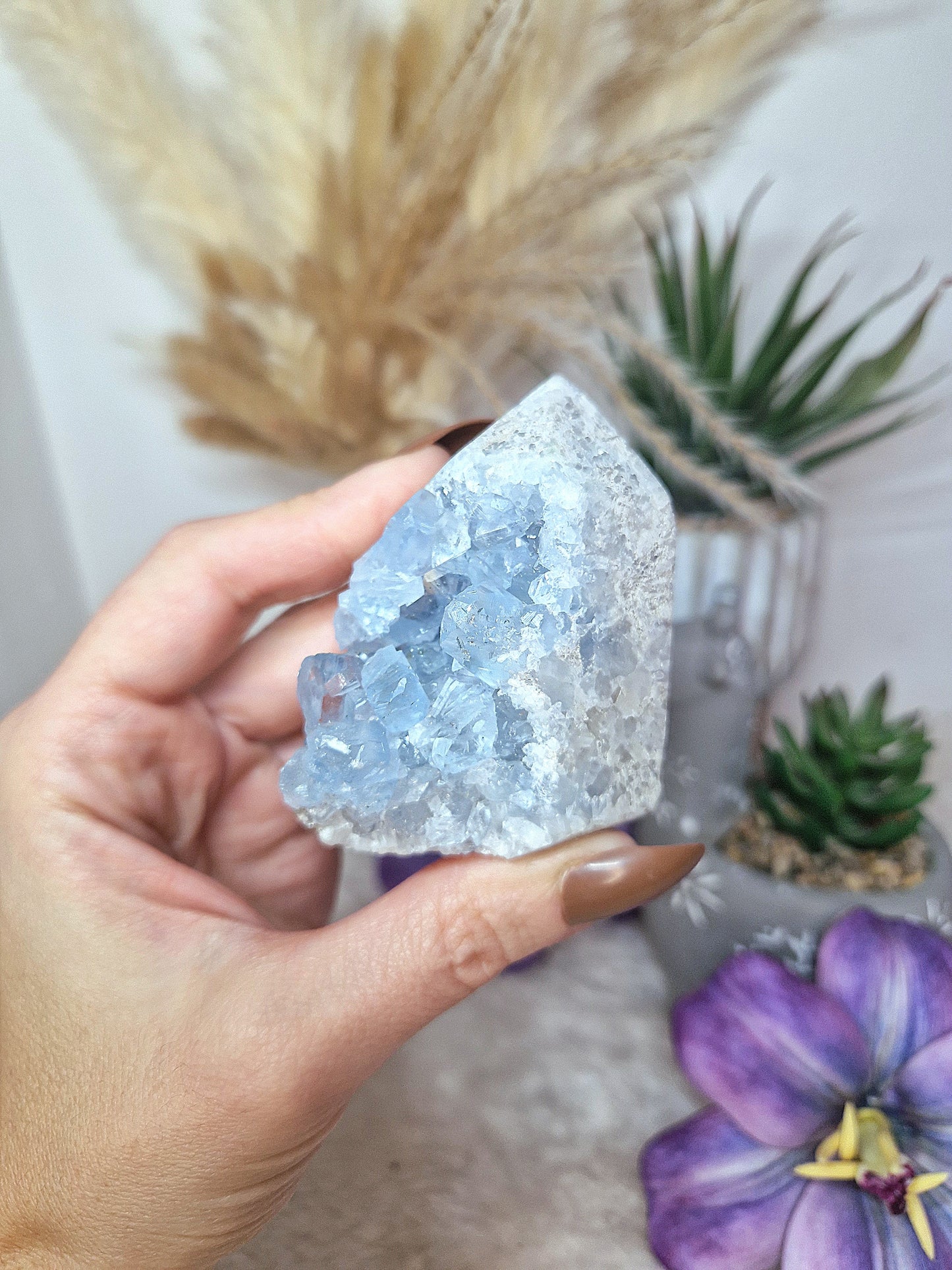 Torre di CELESTINA - n 2