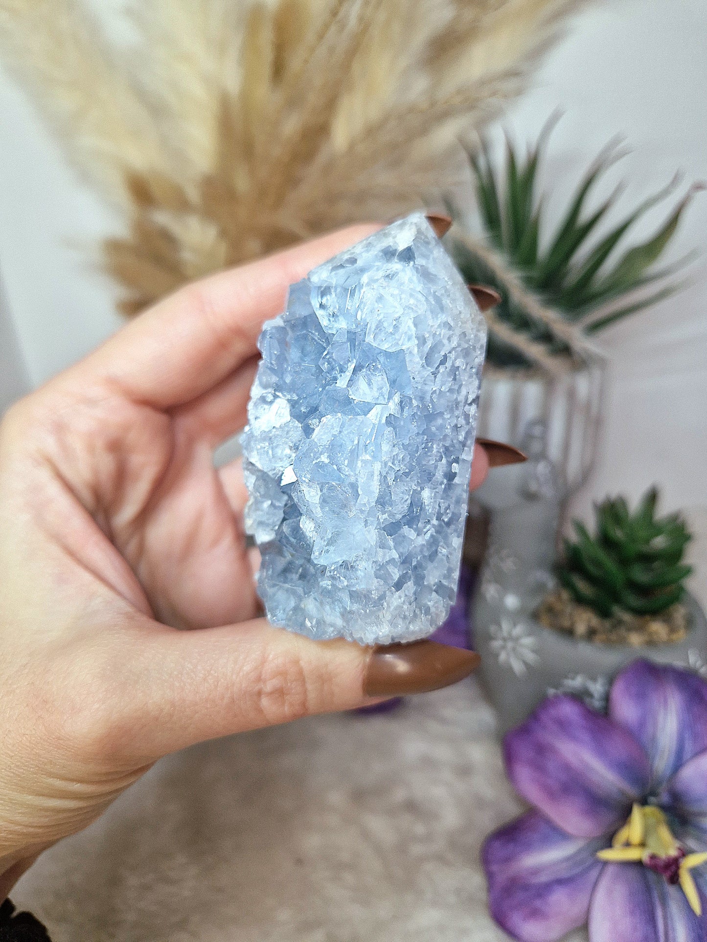 Torre di CELESTINA - n 3