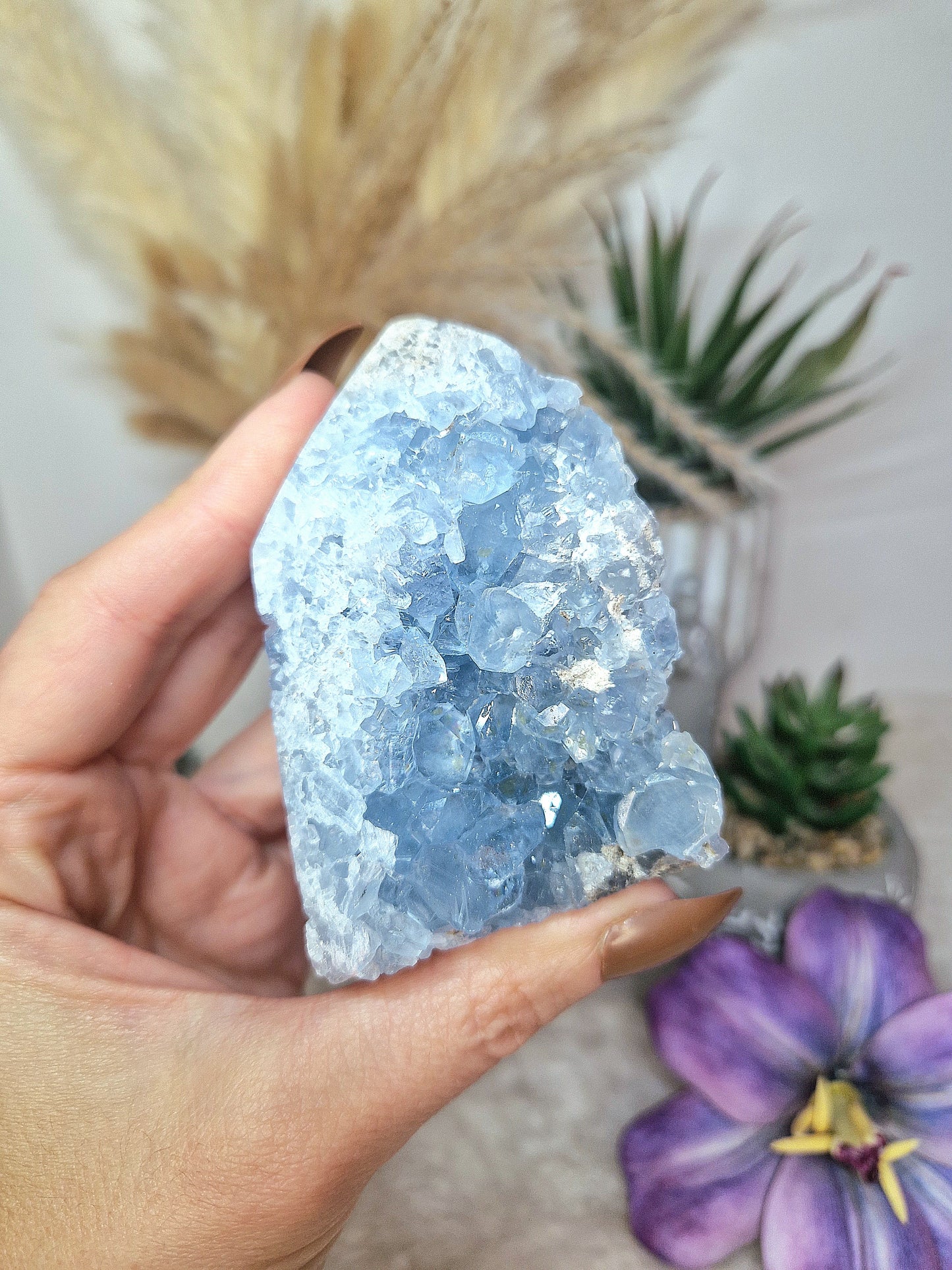 Torre di CELESTINA - n 4