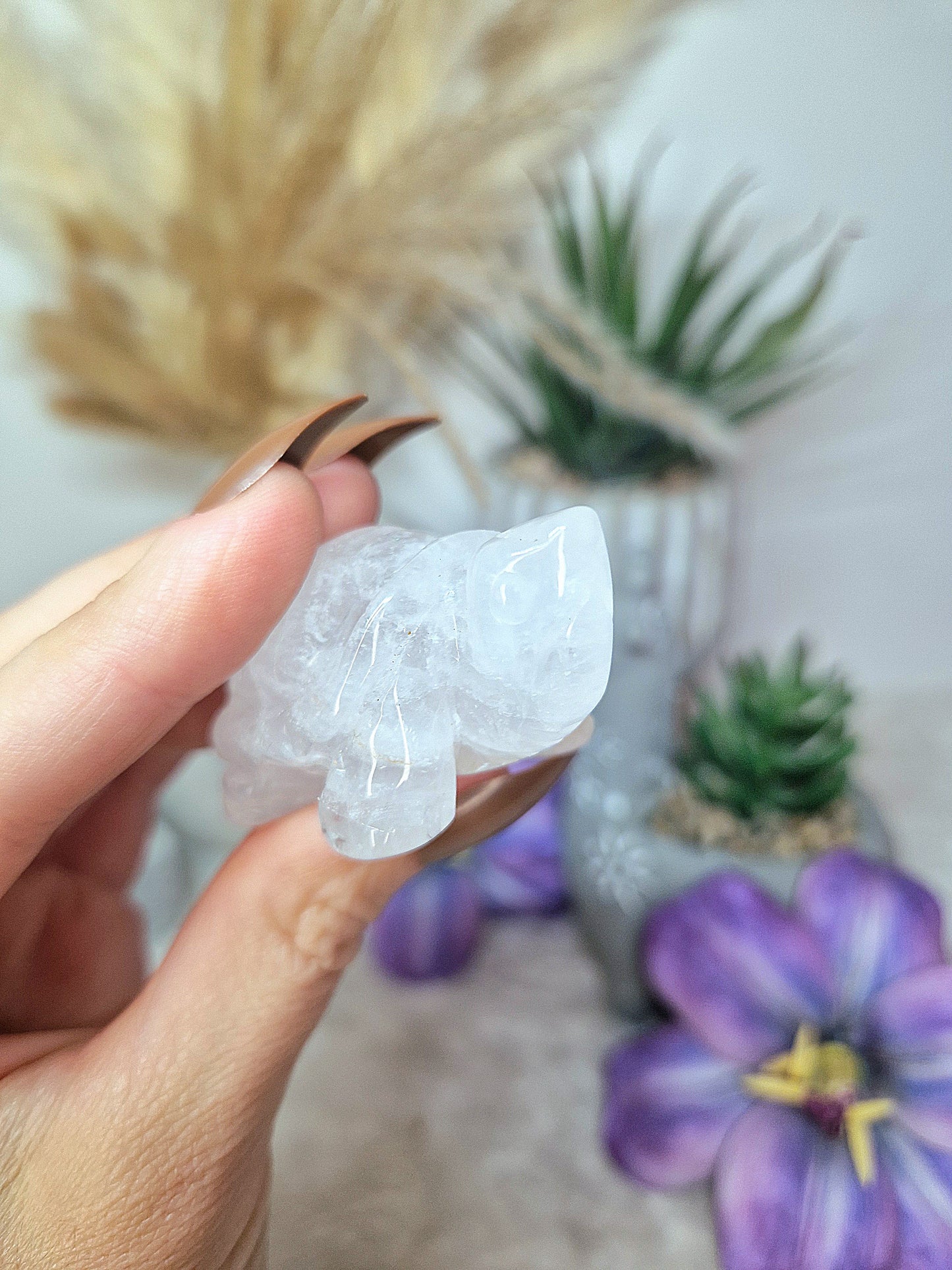 Tartaruga in QUARZO IALINO