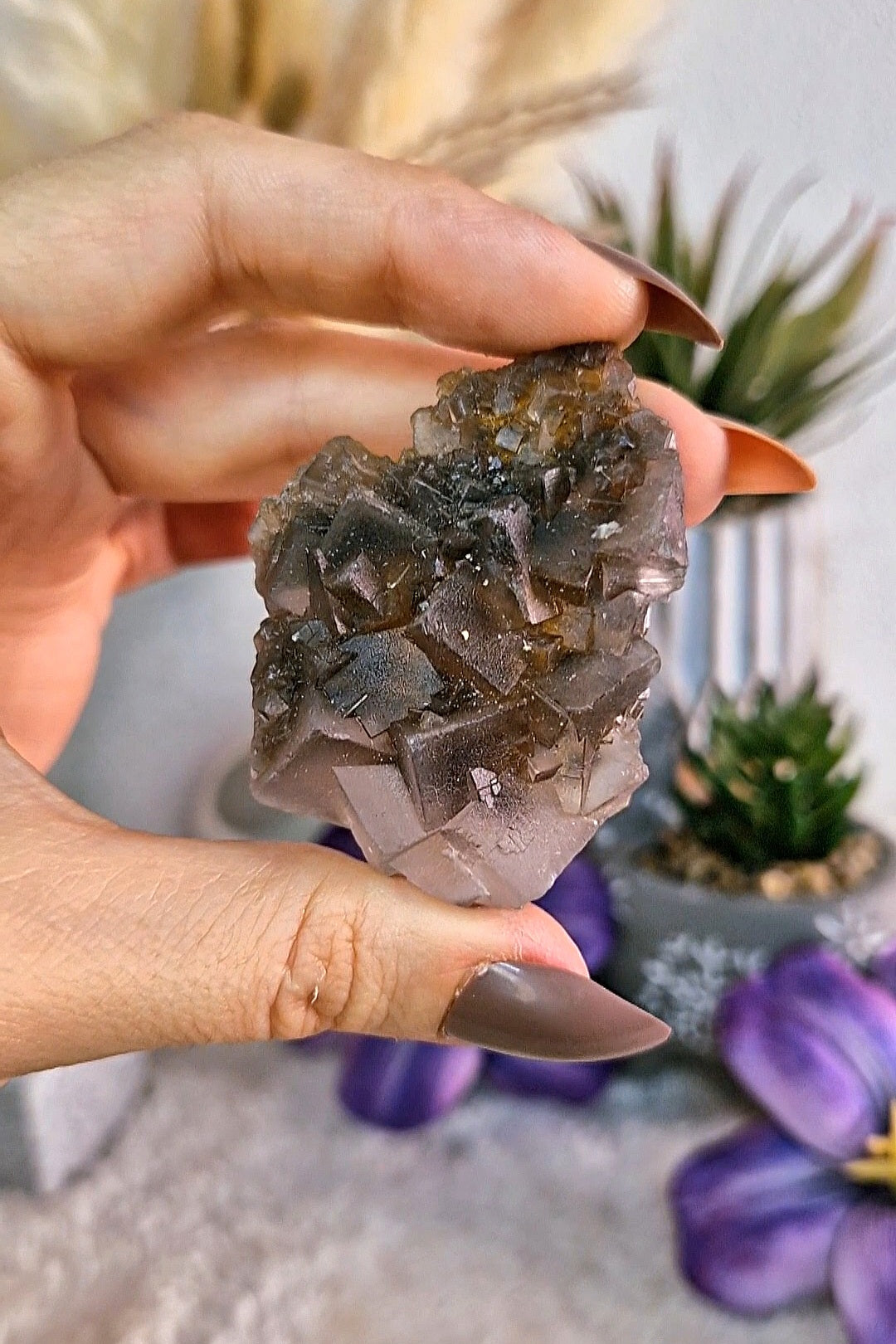 FLUORITE NERA del Pakistan