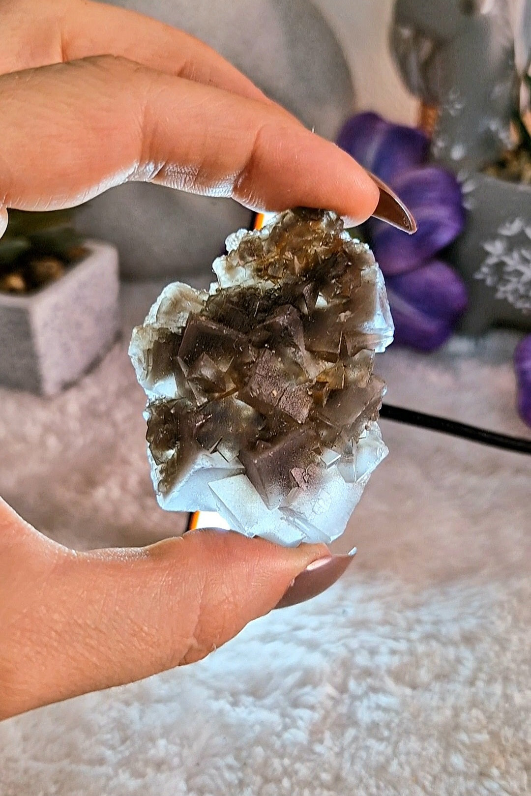 FLUORITE NERA del Pakistan