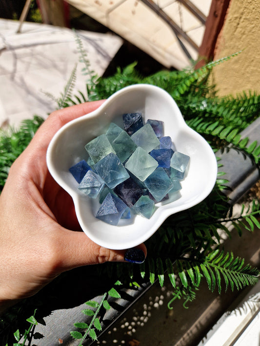 Cubi - rombi di FLUORITE E BLU