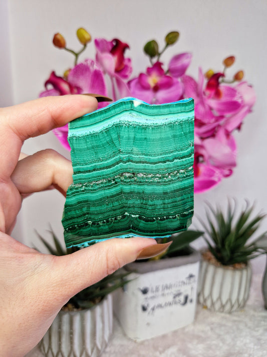Fetta di MALACHITE con CRISOCOLLA - n 4