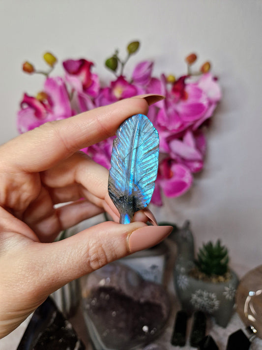 Piuma di LABRADORITE - n 1