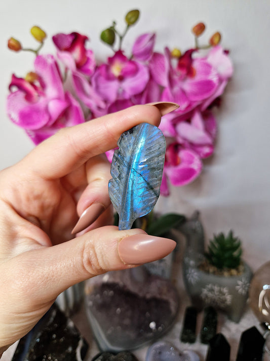 Piuma di LABRADORITE - n 2