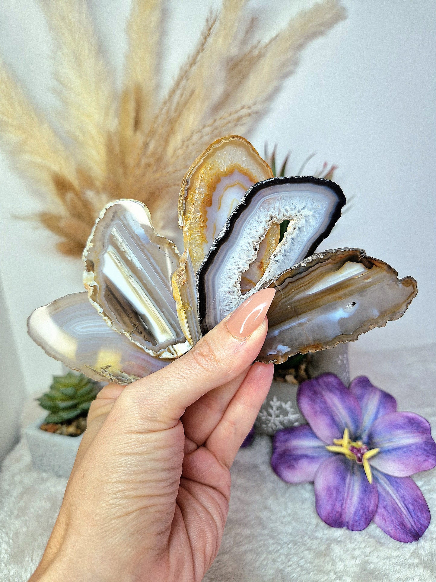 Fetta piccola di AGATA