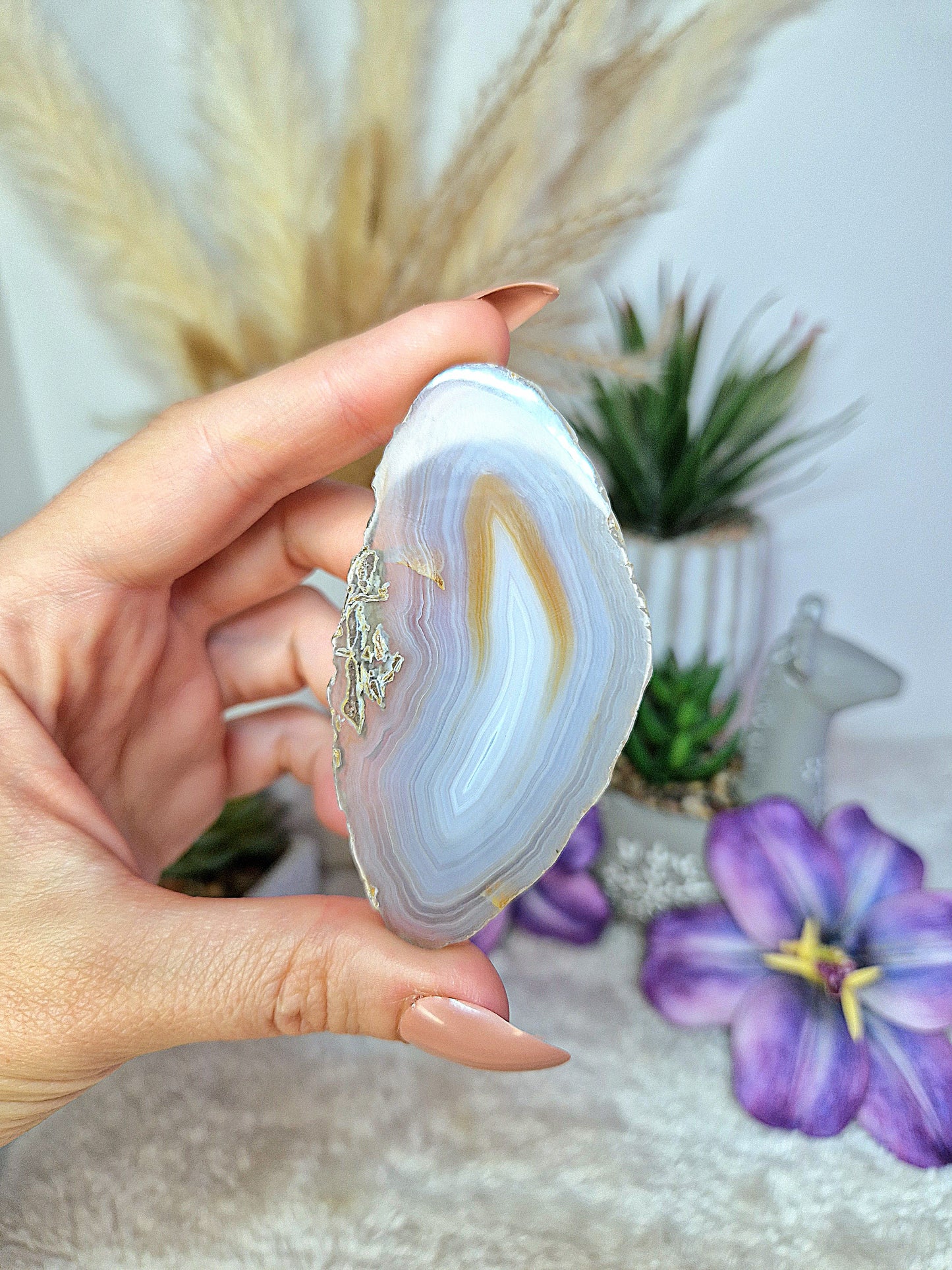 Fetta piccola di AGATA