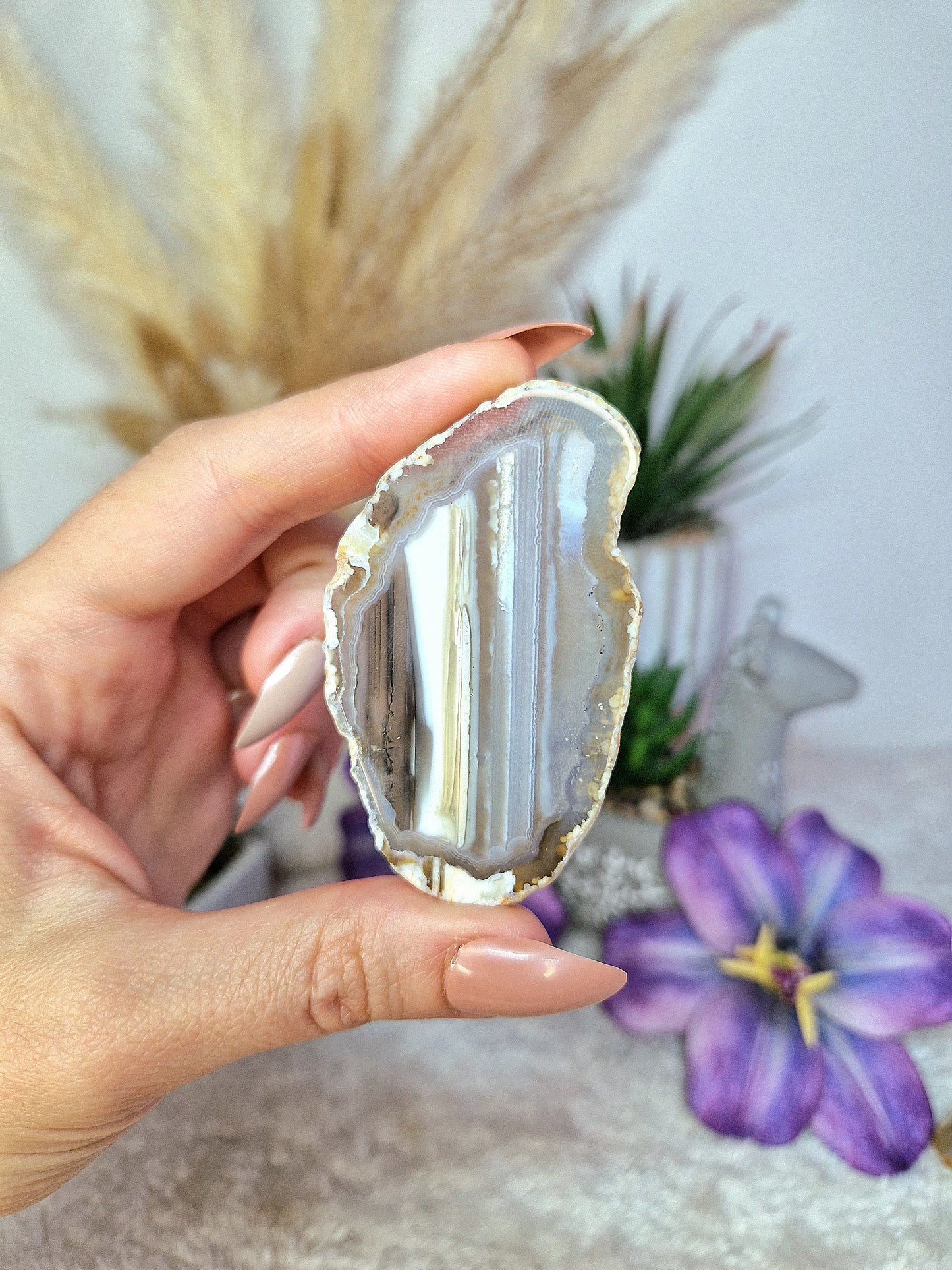 Fetta piccola di AGATA