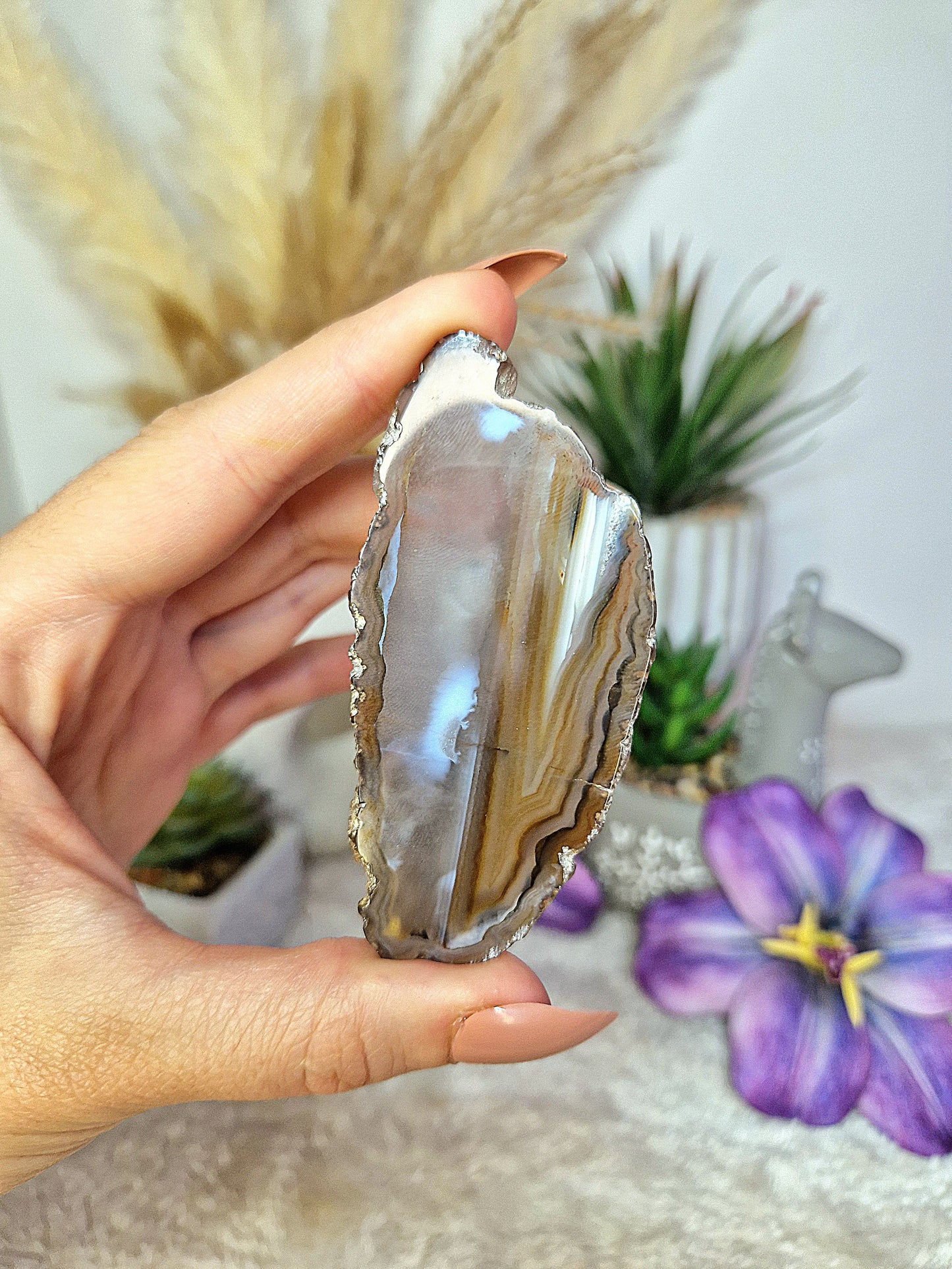 Fetta piccola di AGATA