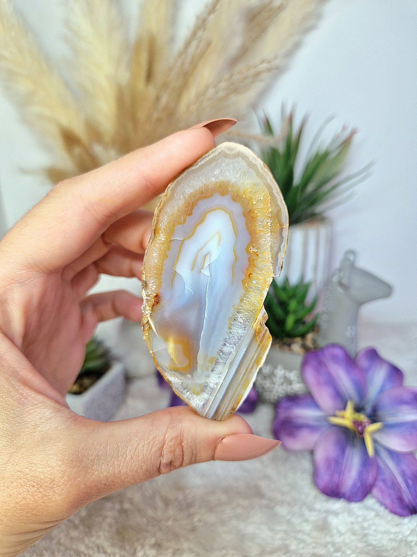 Fetta piccola di AGATA