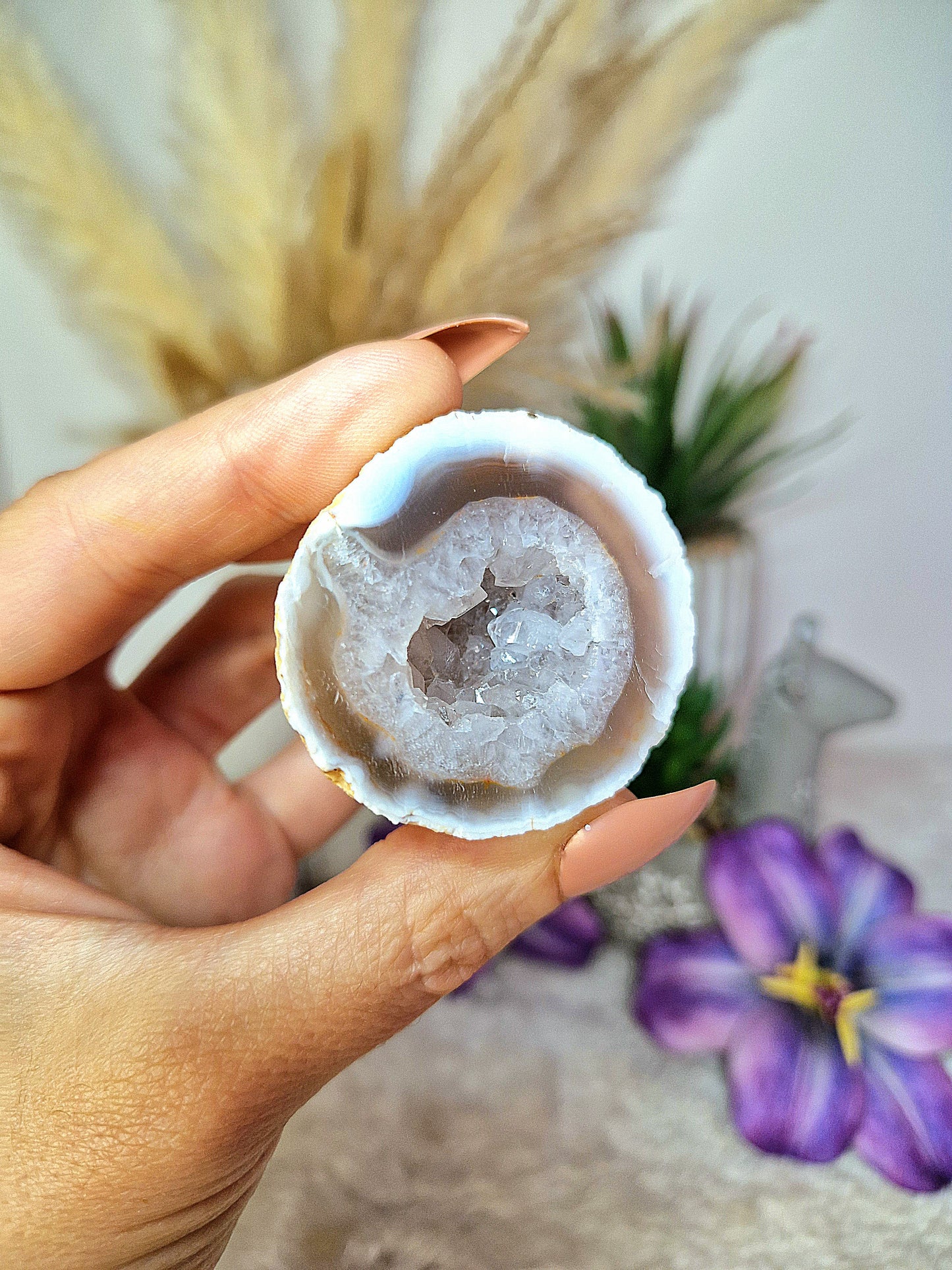 Mezzo geode di AGATA - n 8