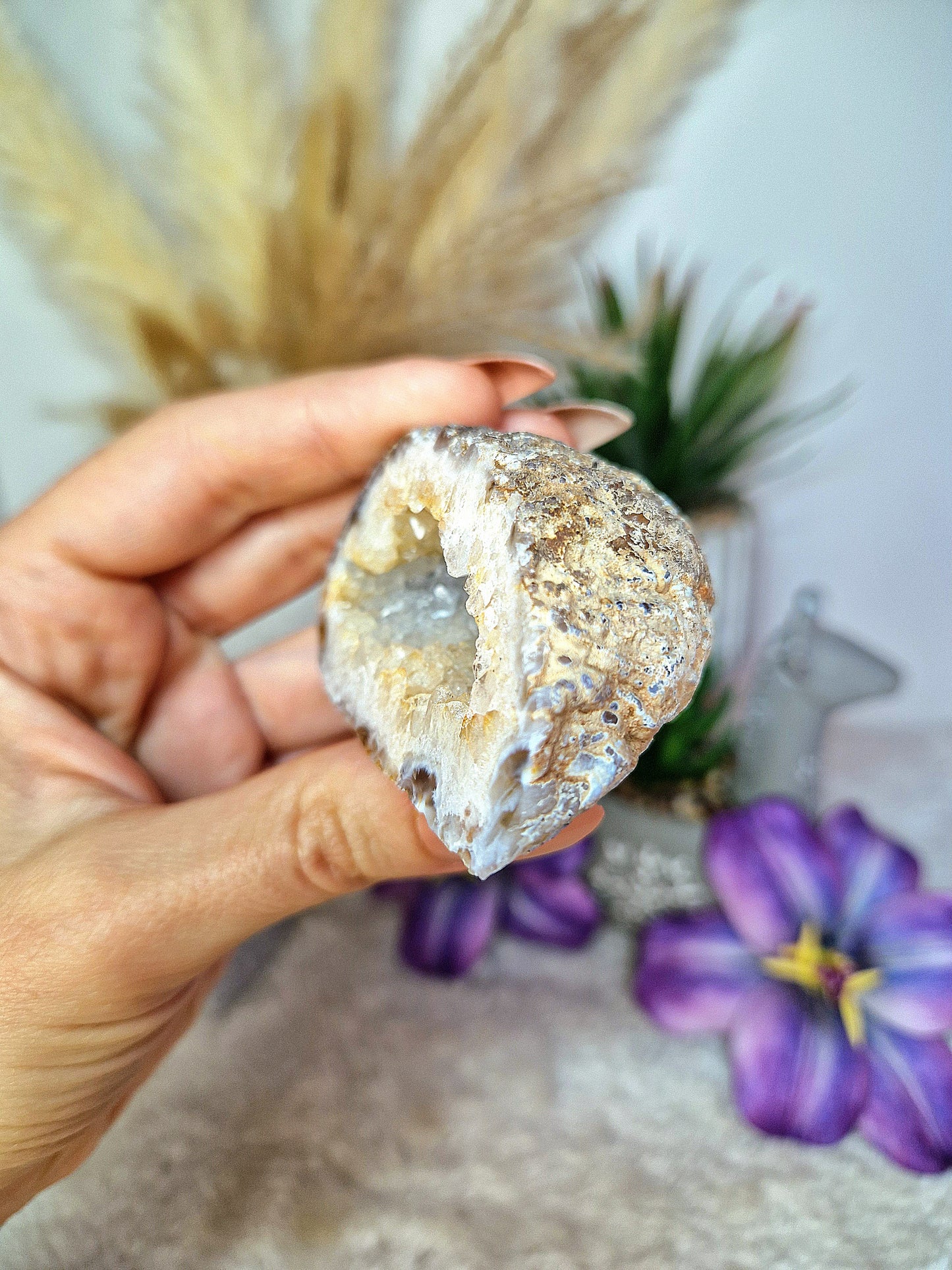 Mezzo geode di AGATA - n 9