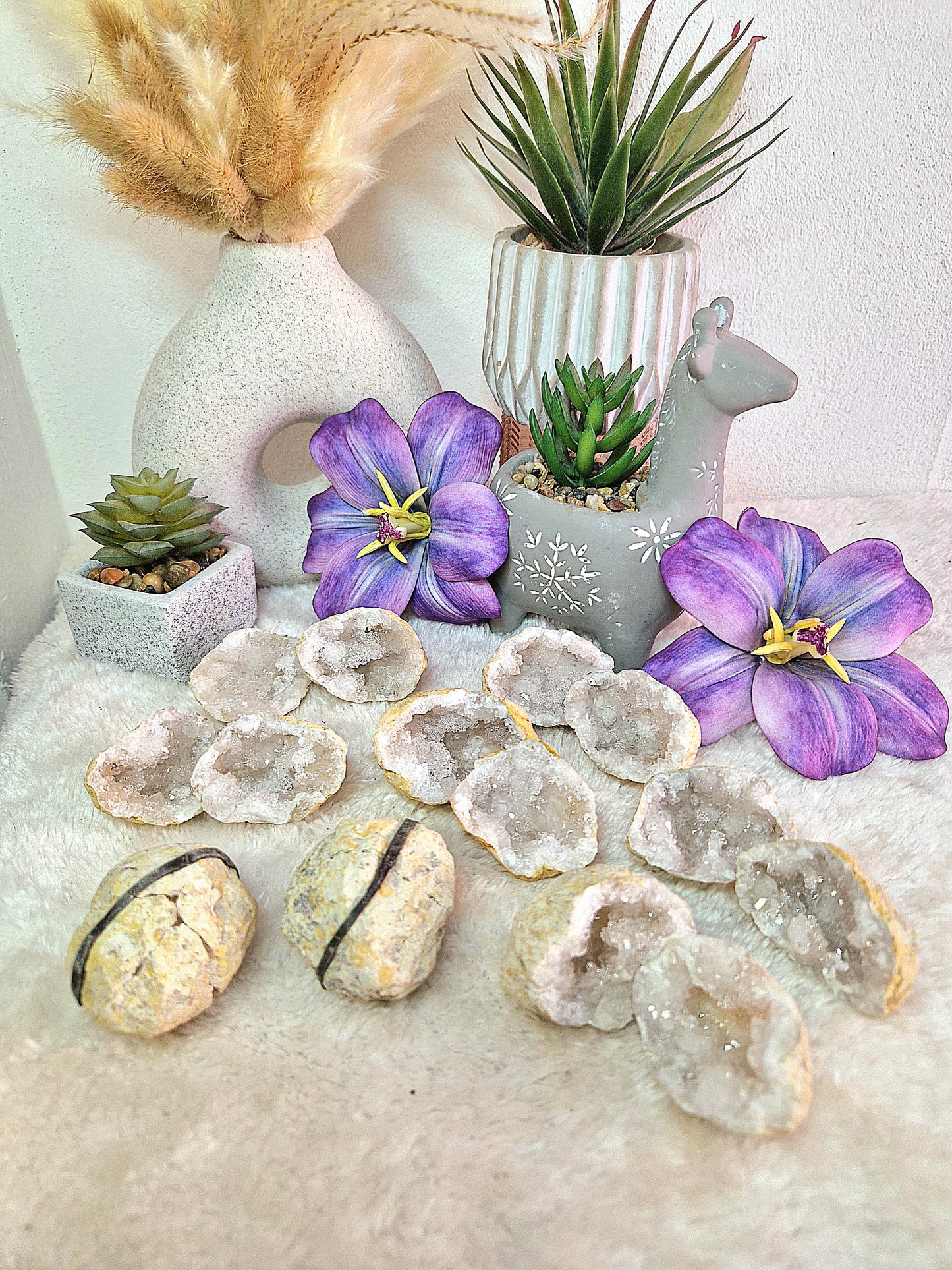 Geode piccolo di QUARZO IALINO