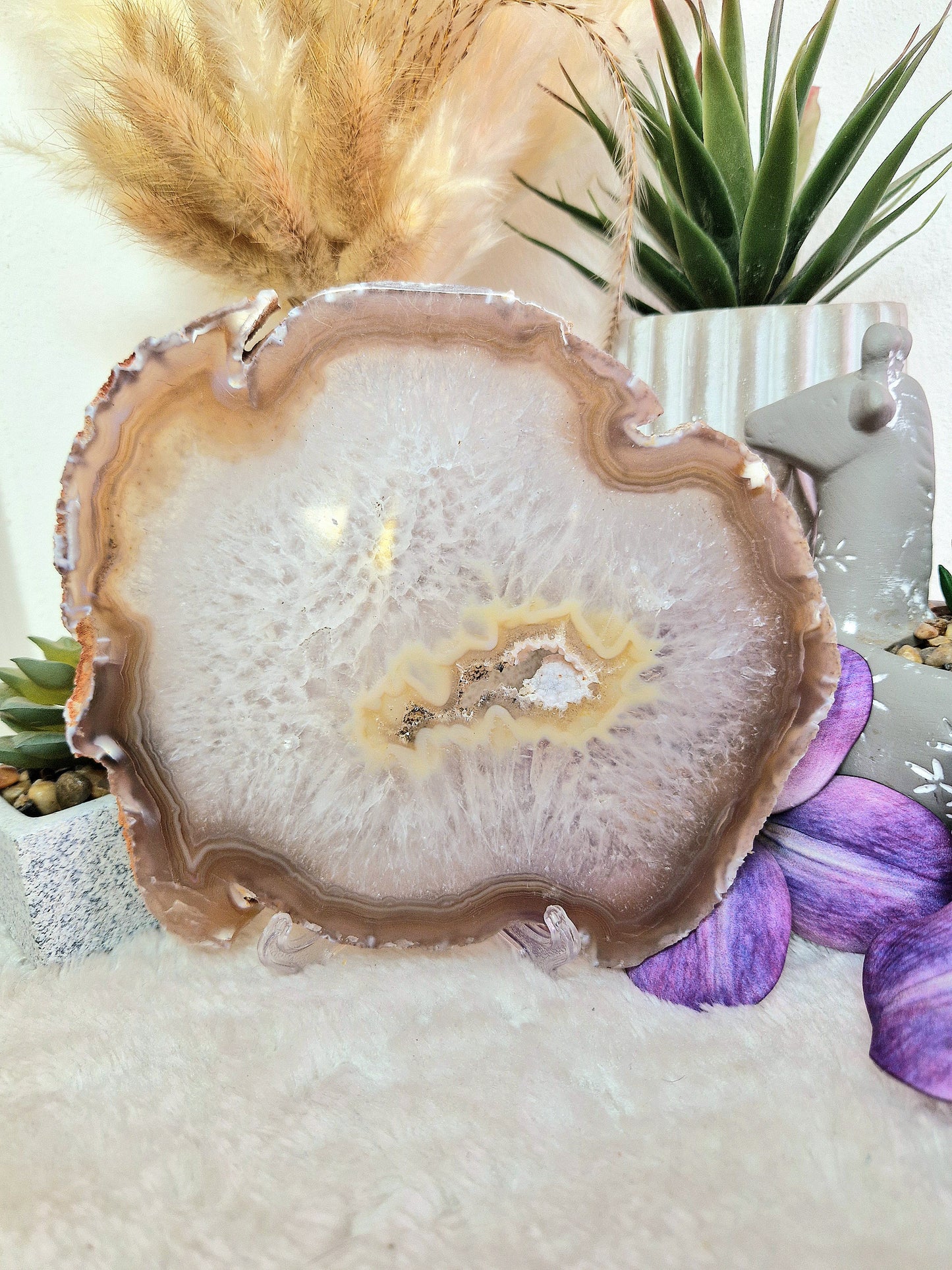 Fetta XL di AGATA - con stand