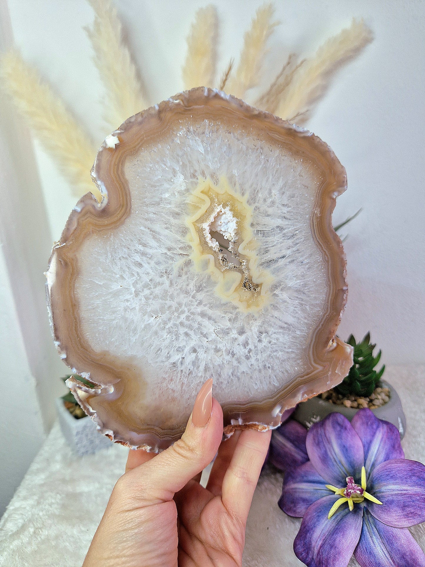 Fetta XL di AGATA - con stand