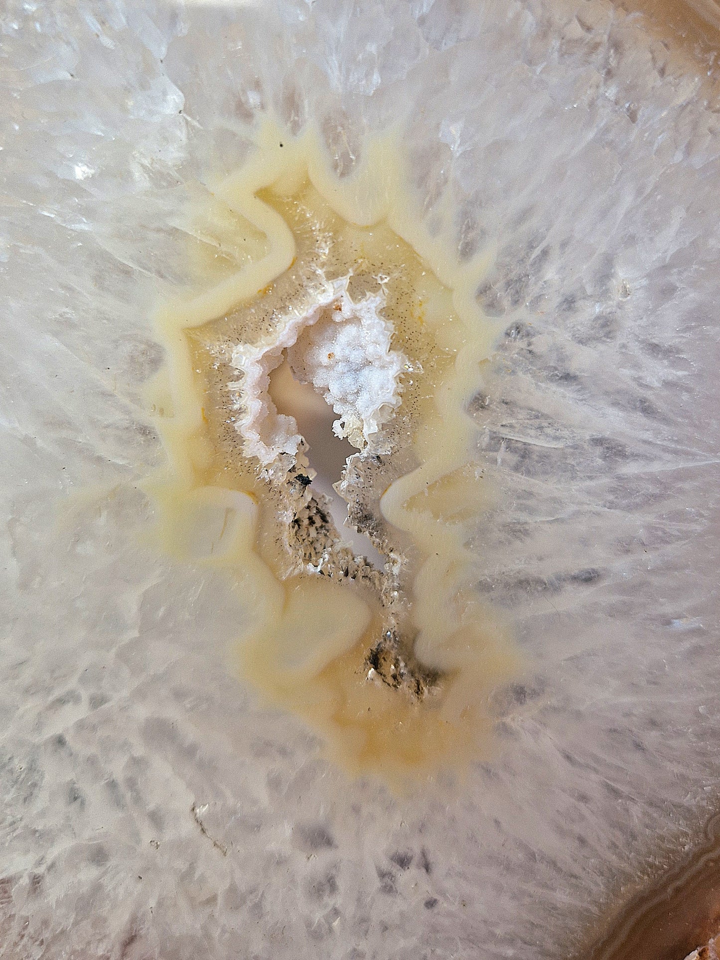 Fetta XL di AGATA - con stand