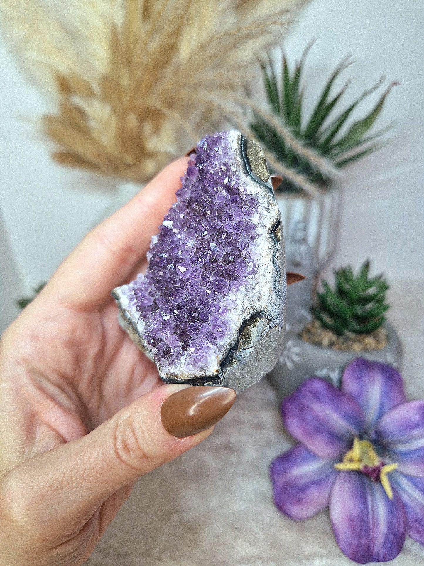 Standing di AMETISTA  - n 4