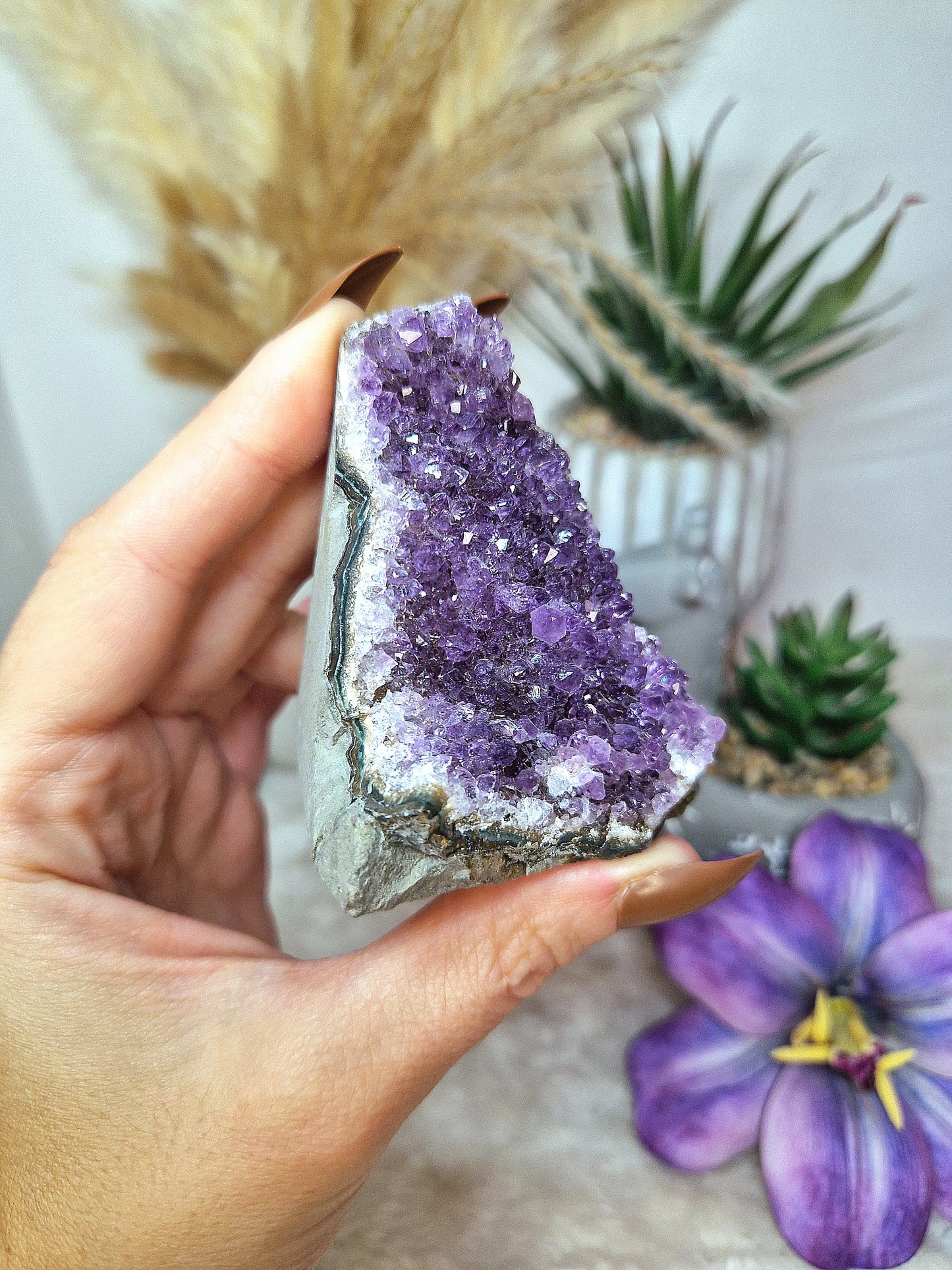 Standing di AMETISTA  - n 4