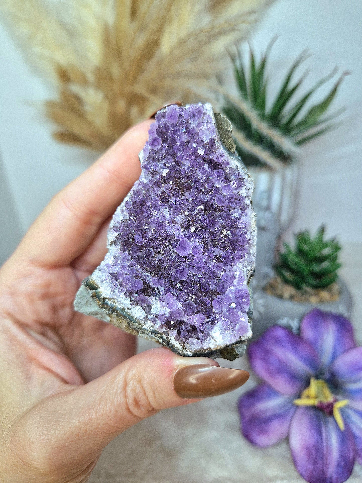 Standing di AMETISTA  - n 4