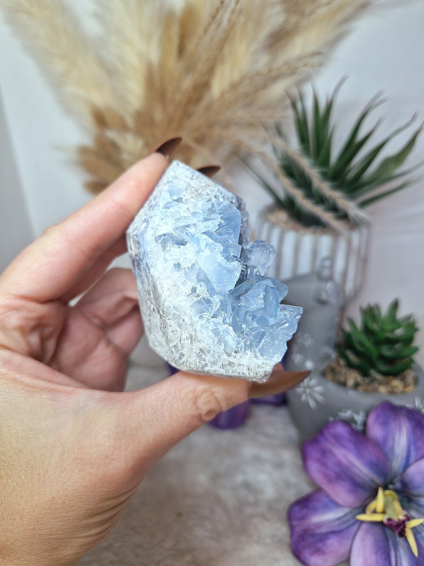 Torre di CELESTINA - n 2