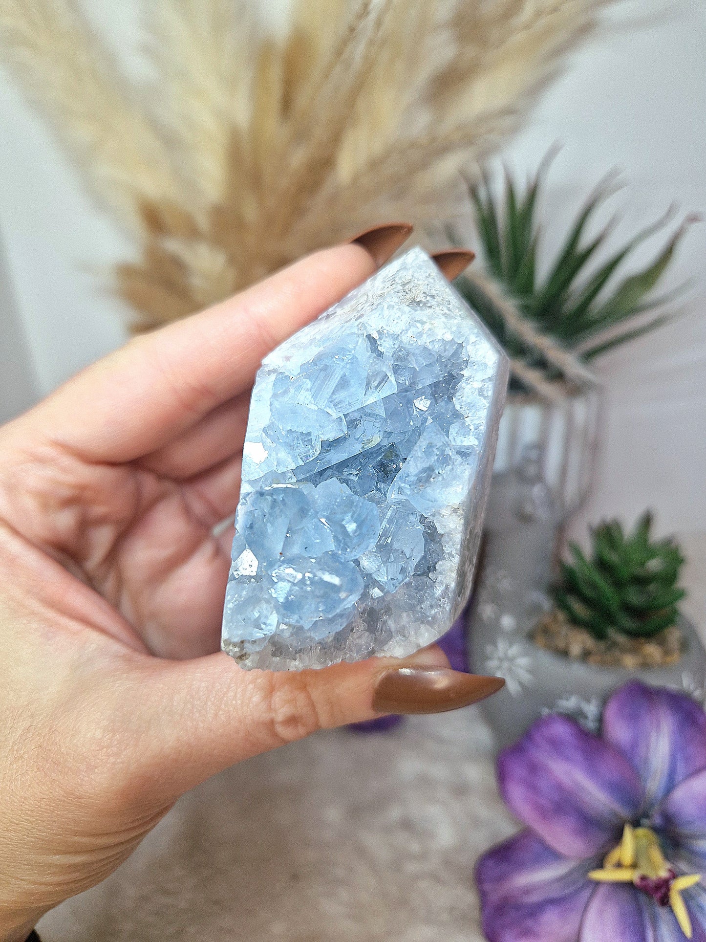 Torre di CELESTINA - n 2