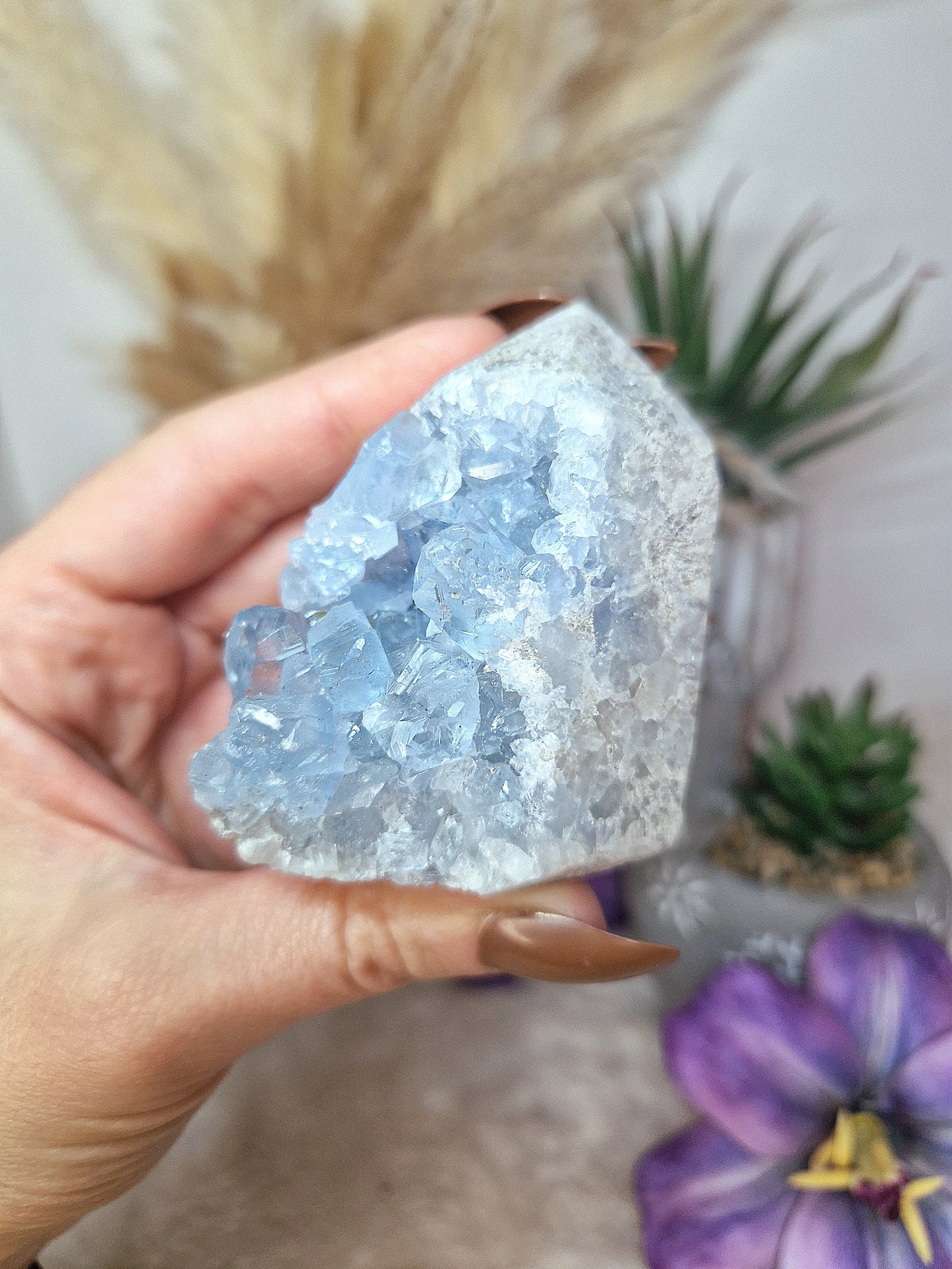 Torre di CELESTINA - n 2