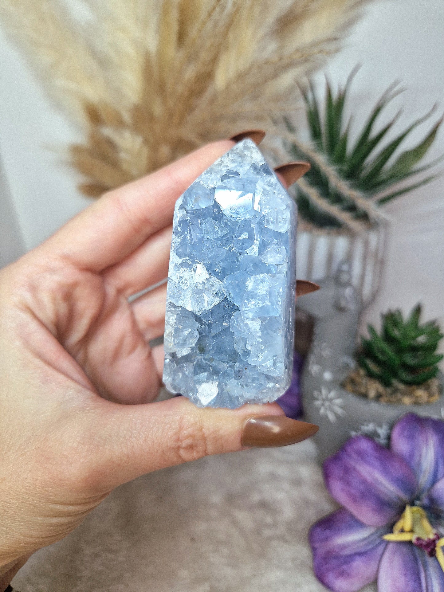 Torre di CELESTINA - n 3