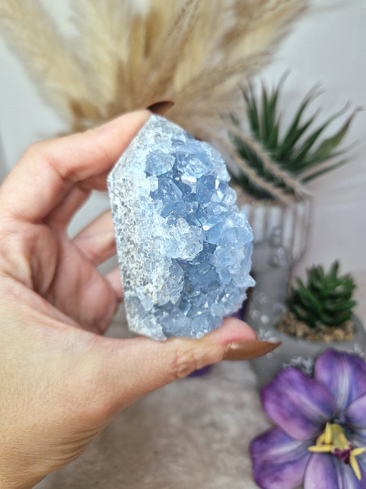 Torre di CELESTINA - n 3