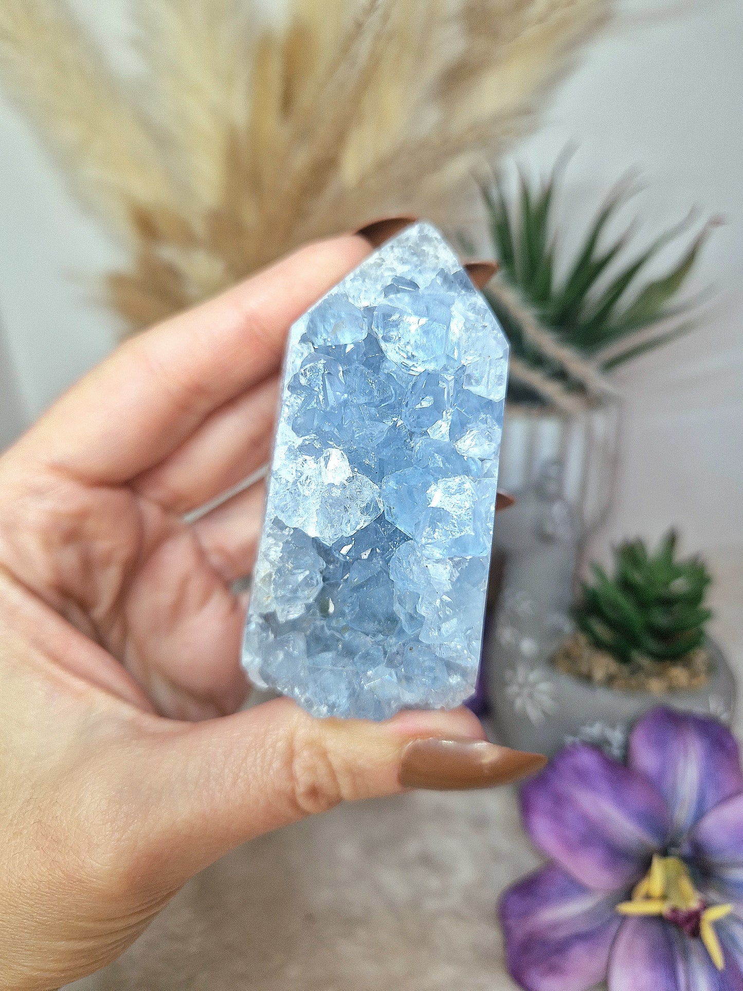 Torre di CELESTINA - n 3