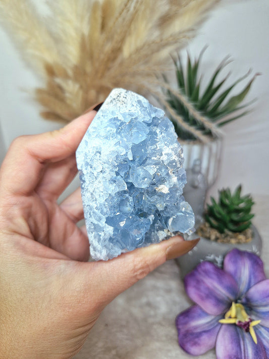 Torre di CELESTINA - n 4