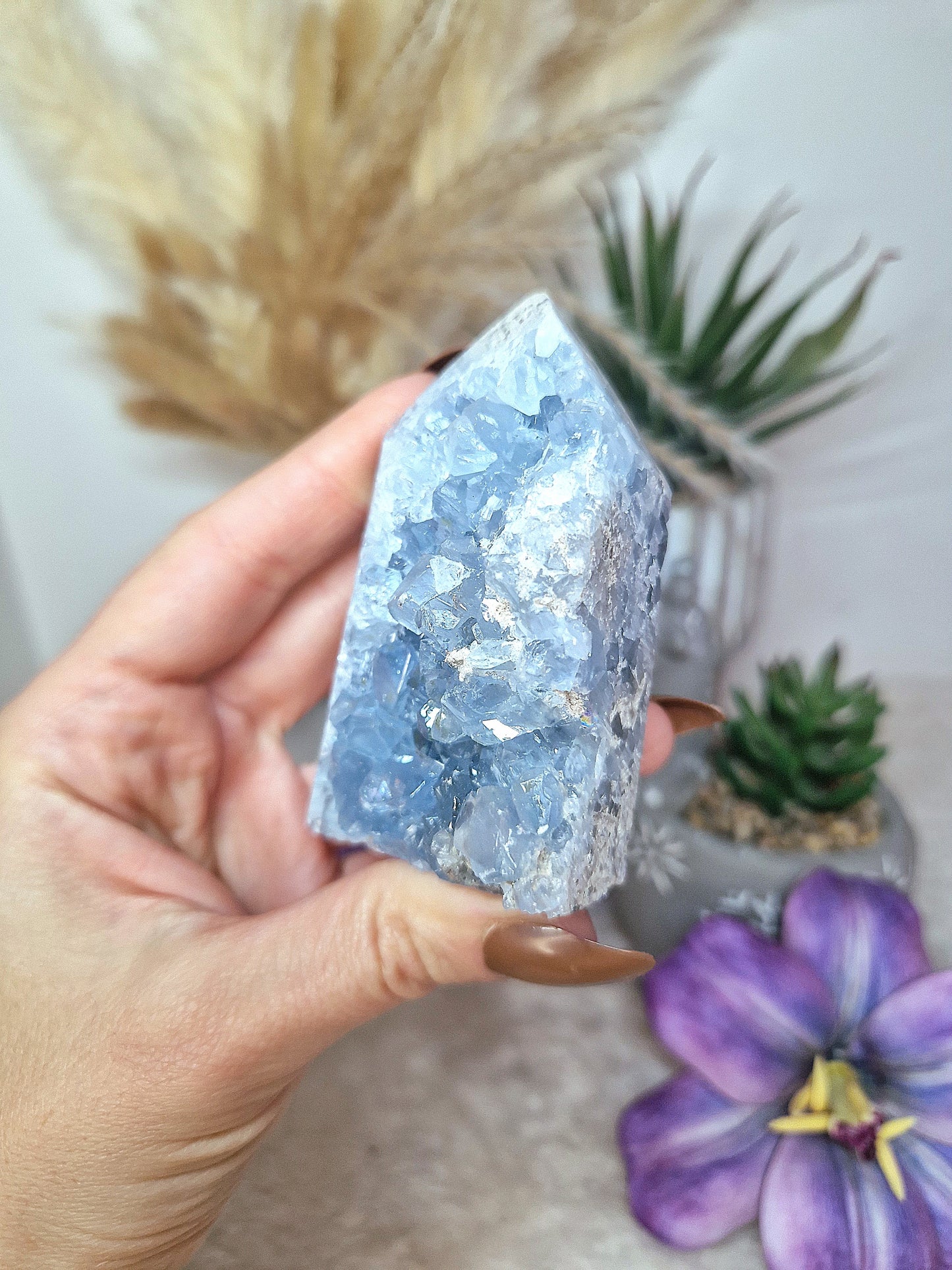 Torre di CELESTINA - n 4