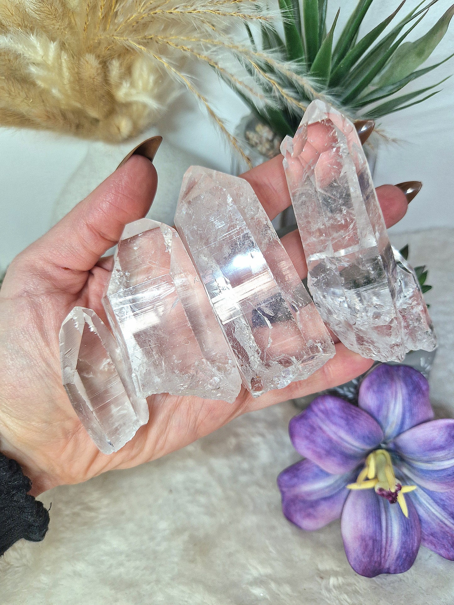 Punte di QUARZO LEMURIANO