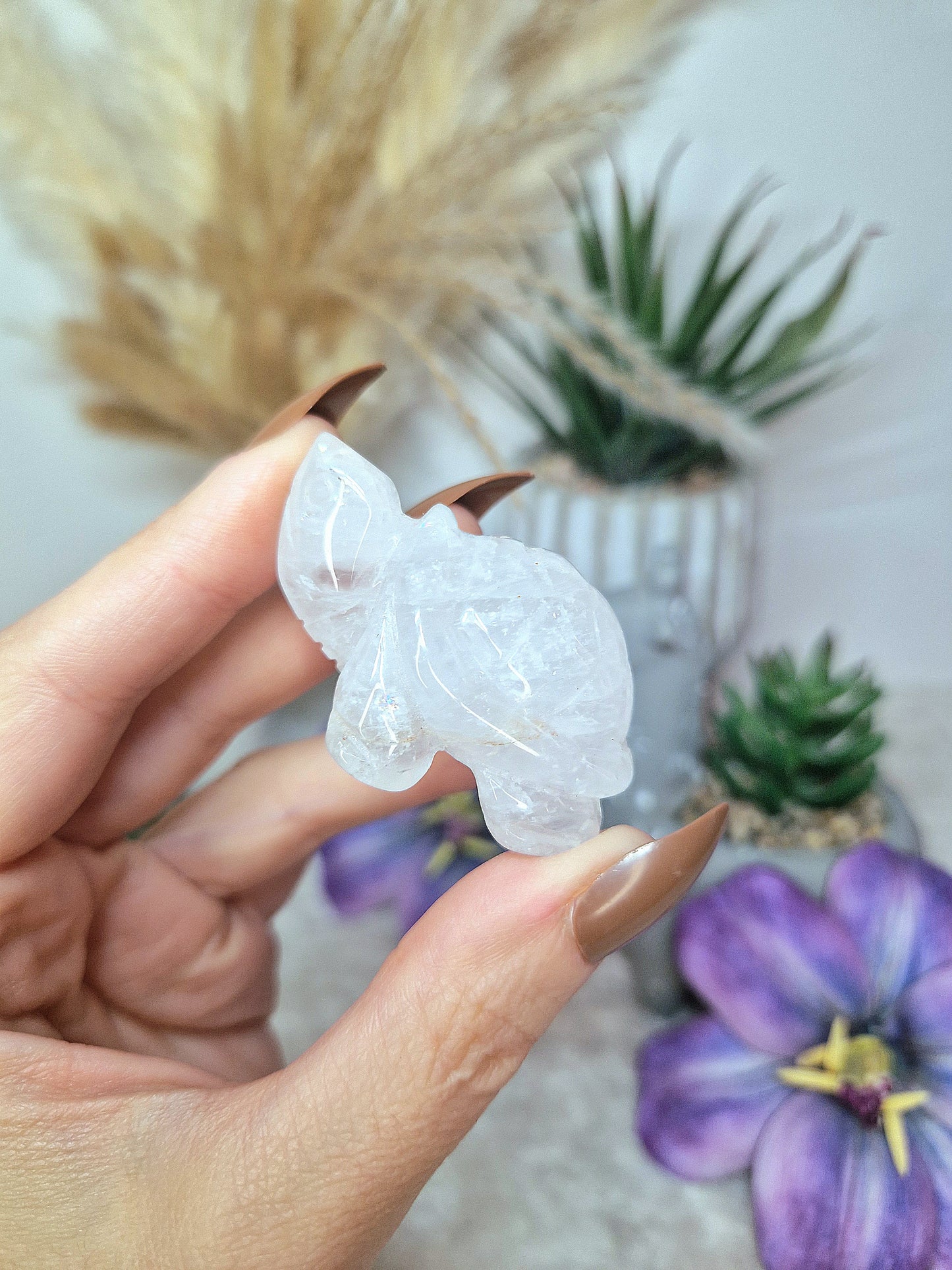 Tartaruga in QUARZO IALINO