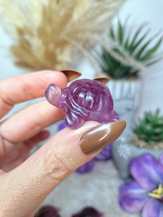 Tartaruga in FLUORITE viola