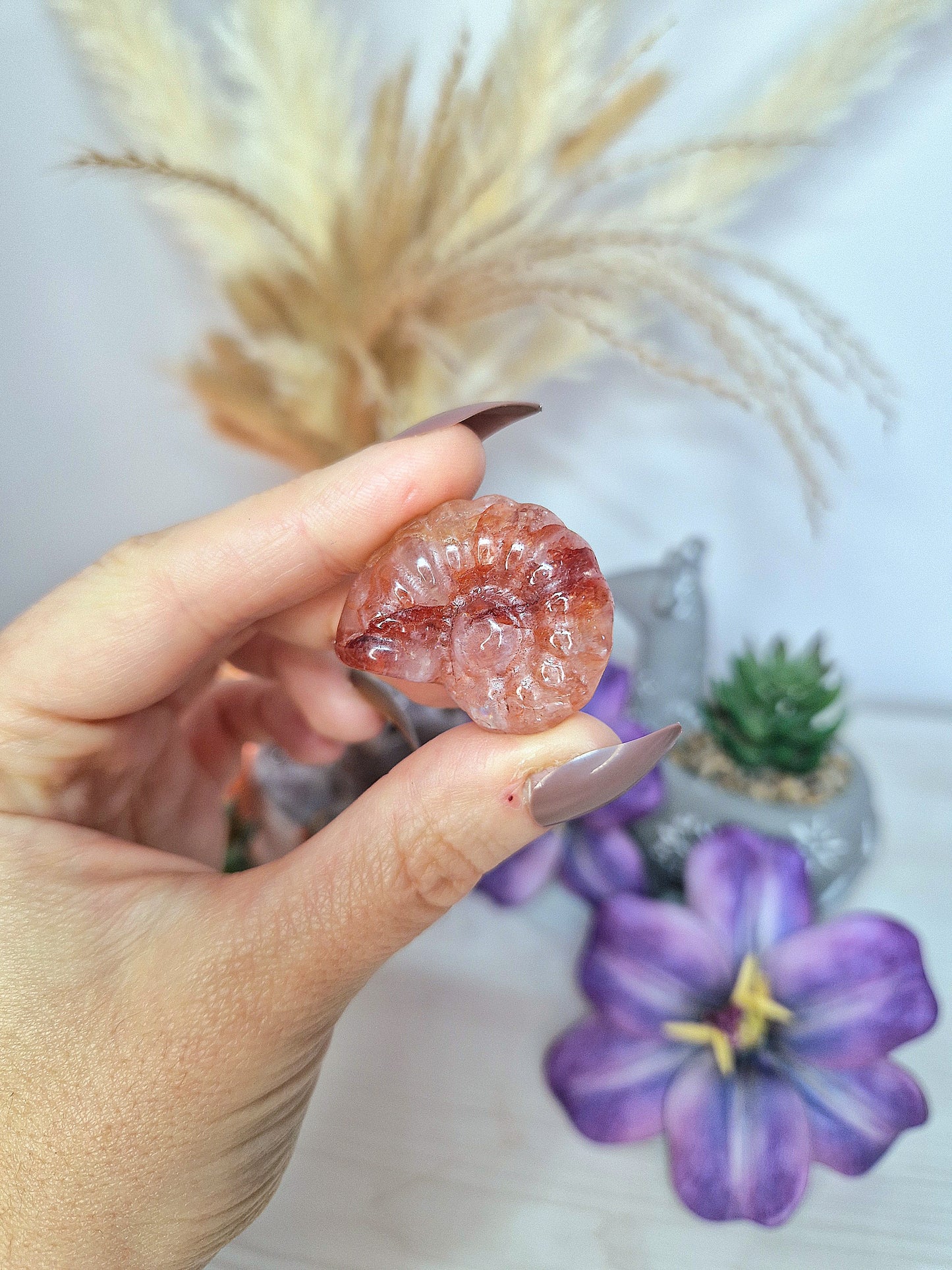 Ammonite di QUARZO EMATOIDE