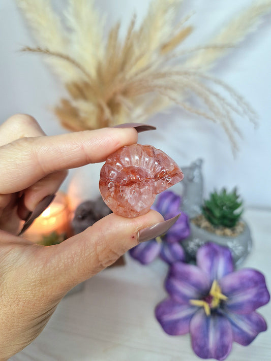 Ammonite di QUARZO EMATOIDE