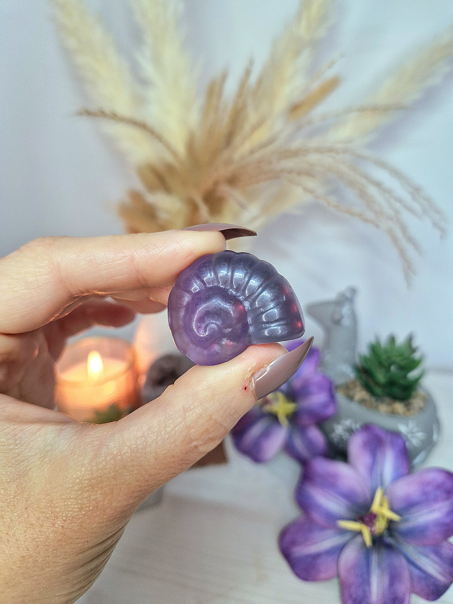 Ammonite di FLUORITE