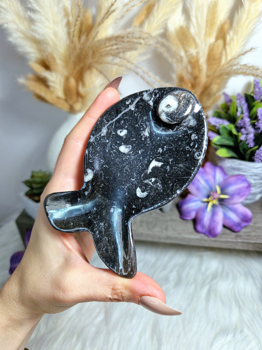 Piattino piatto pesciolino in ORTHOCERAS