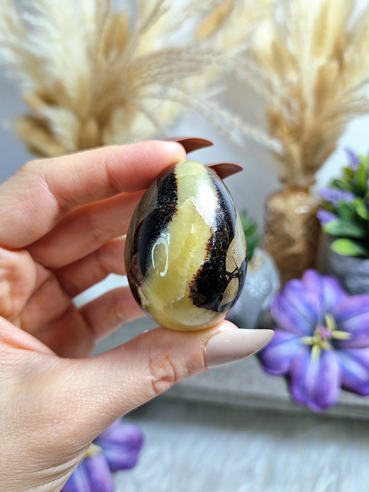 Uovo di SEPTARIA - S