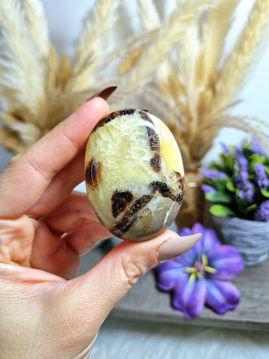 Palmstone di SEPTARIA