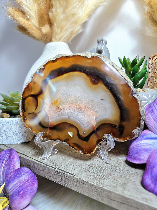 Fetta di AGATA - con stand