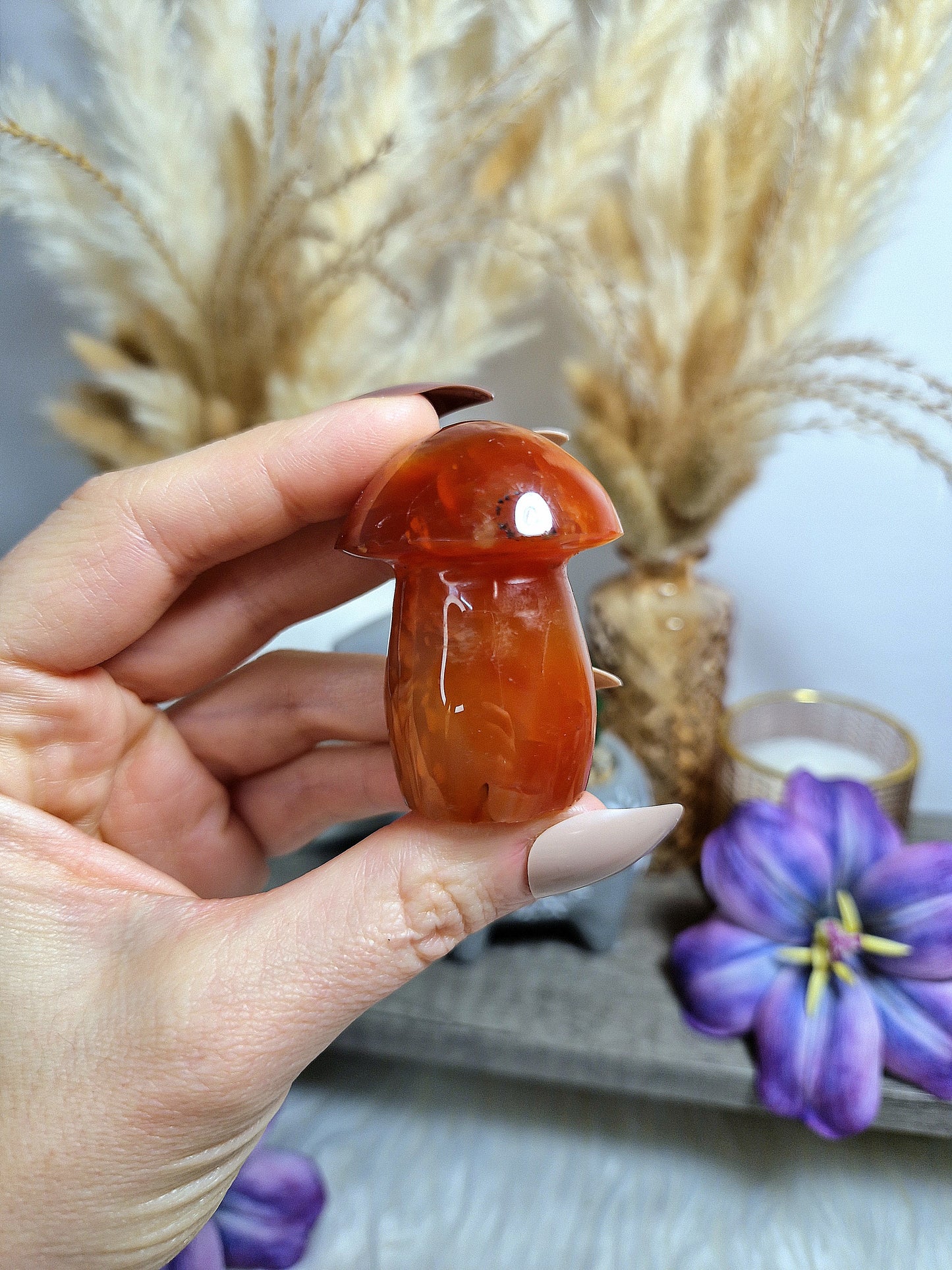 Fungo di AGATA CORNIOLA - n 1